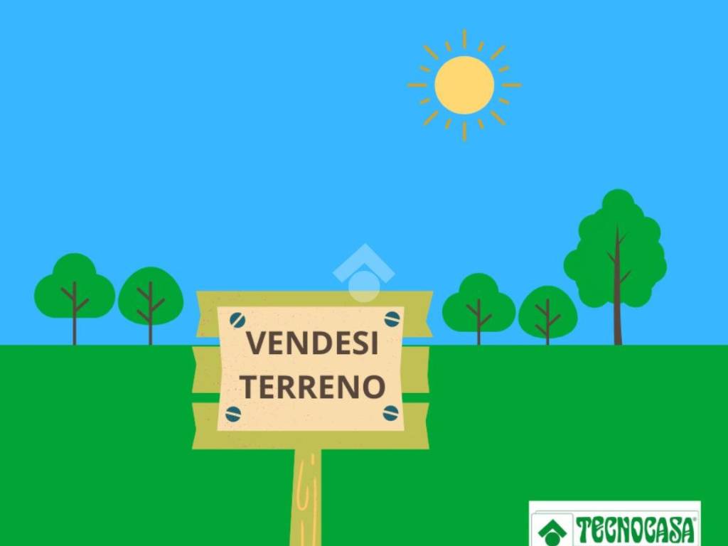 terreno agricolo in vendita a San Giorgio Bigarello in zona Bigarello