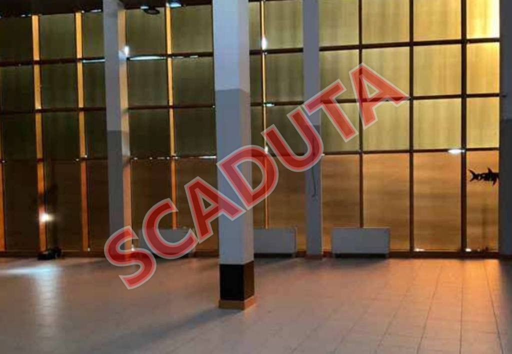 immagine annuncio 0 di 11