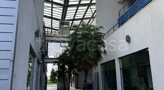 appartamento in vendita a San Giorgio Bigarello