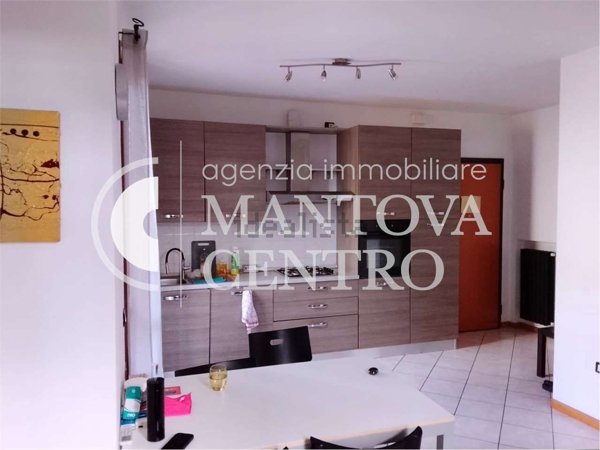 appartamento in vendita a San Giorgio Bigarello in zona Bigarello