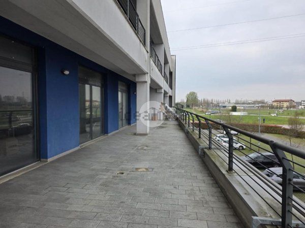 appartamento in vendita a San Giorgio Bigarello in zona Mottella