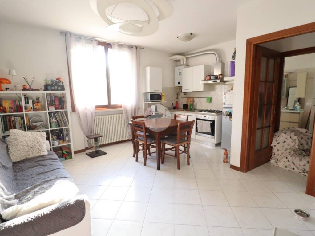 appartamento in vendita a San Giorgio Bigarello in zona Mottella