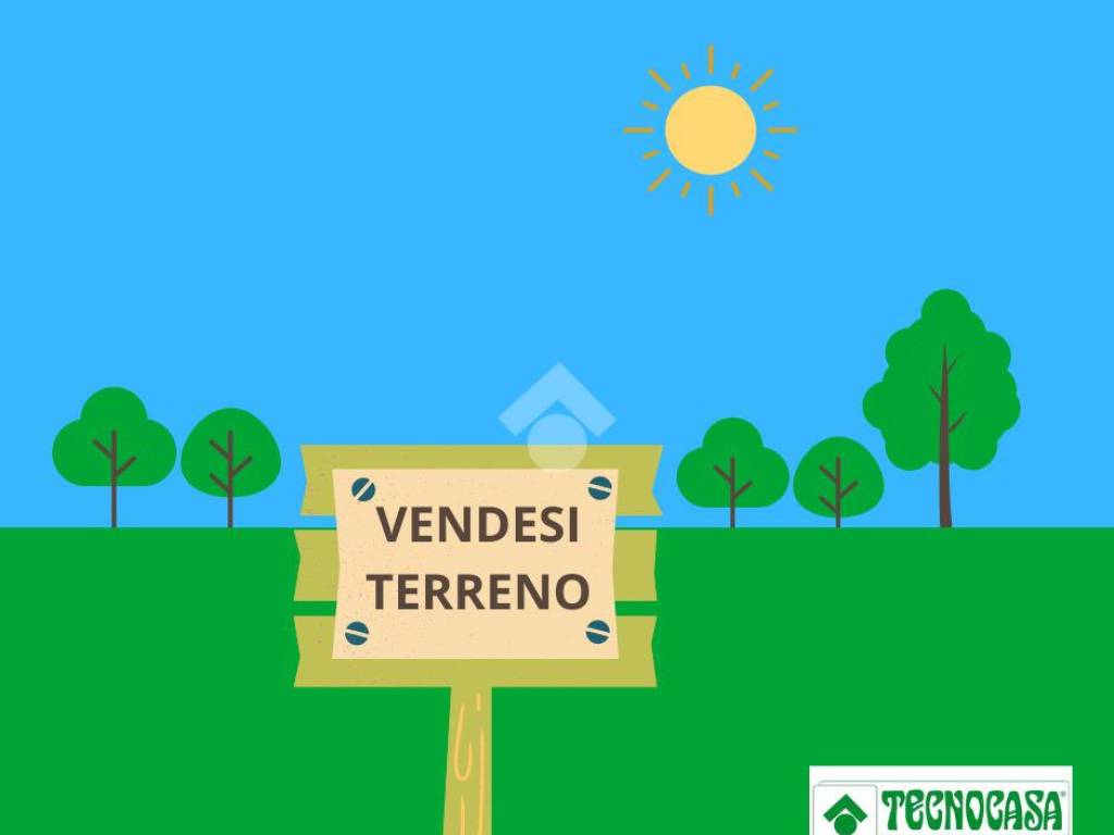 terreno agricolo in vendita a San Giorgio Bigarello in zona Bigarello