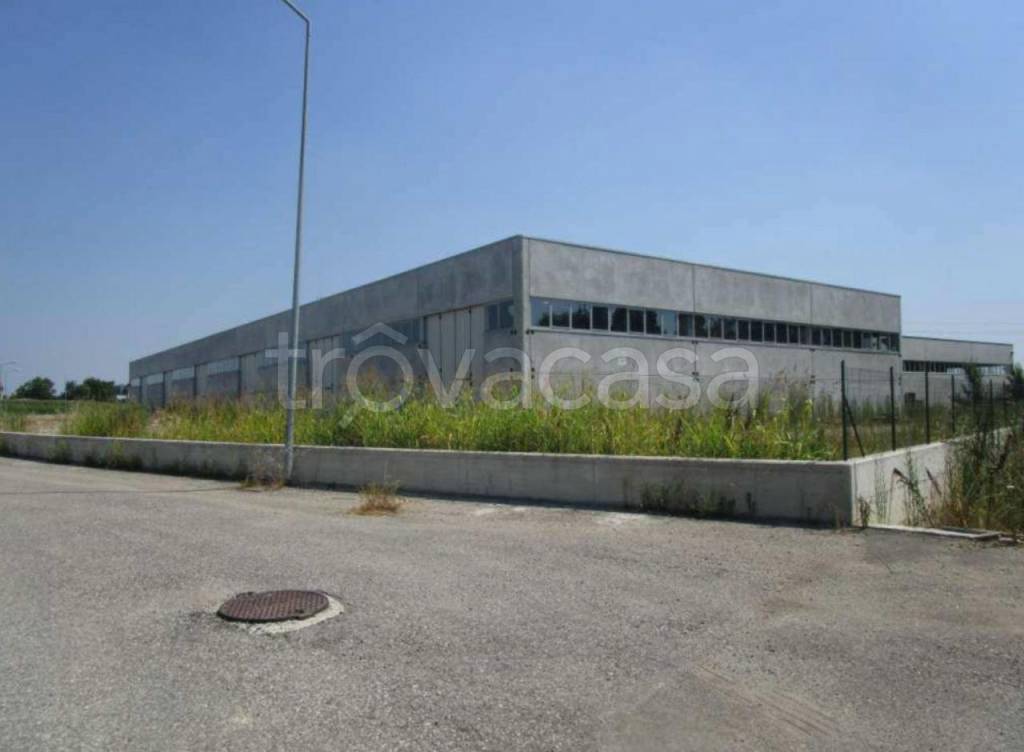locale commerciale in vendita a San Giovanni del Dosso