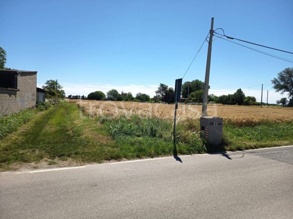 negozio in vendita a San Martino dall'Argine
