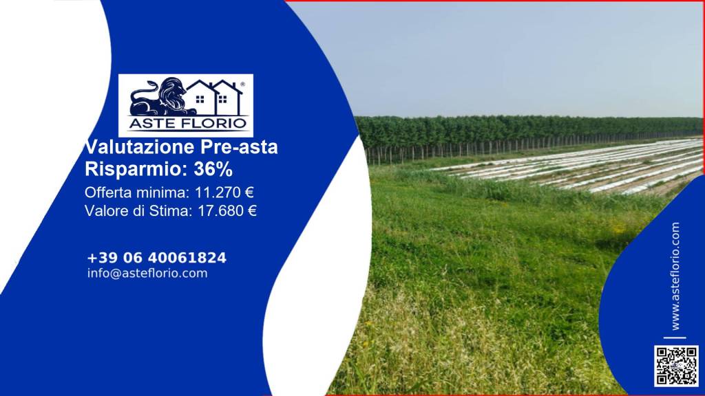 terreno agricolo in vendita a Sermide e Felonica in zona Felonica