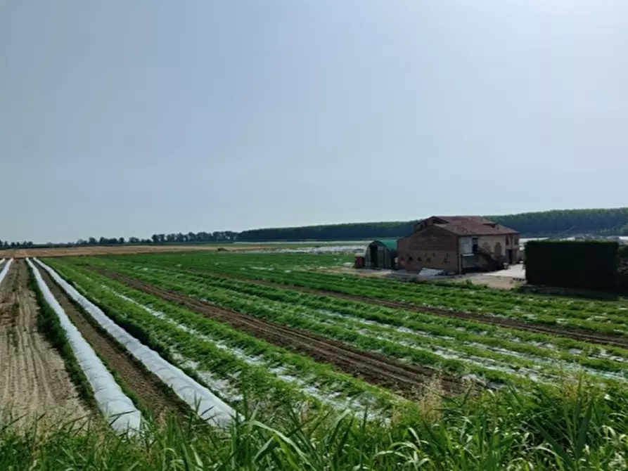 mansarda in vendita a Sermide e Felonica in zona Sermide
