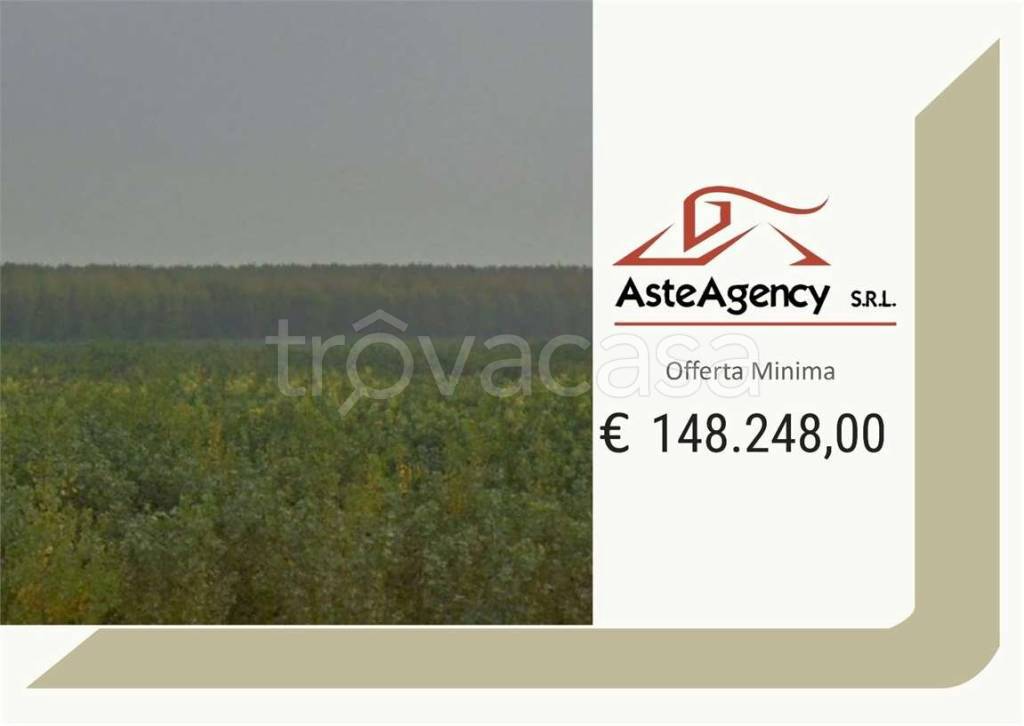 terreno agricolo in vendita a Sermide e Felonica