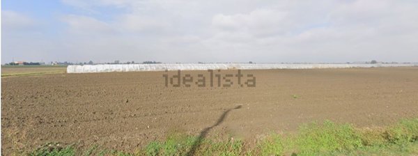 terreno agricolo in vendita a Sermide e Felonica in zona Sermide