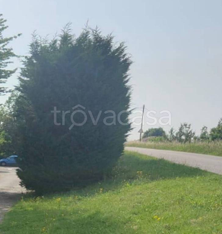 terreno agricolo in vendita a Sermide e Felonica