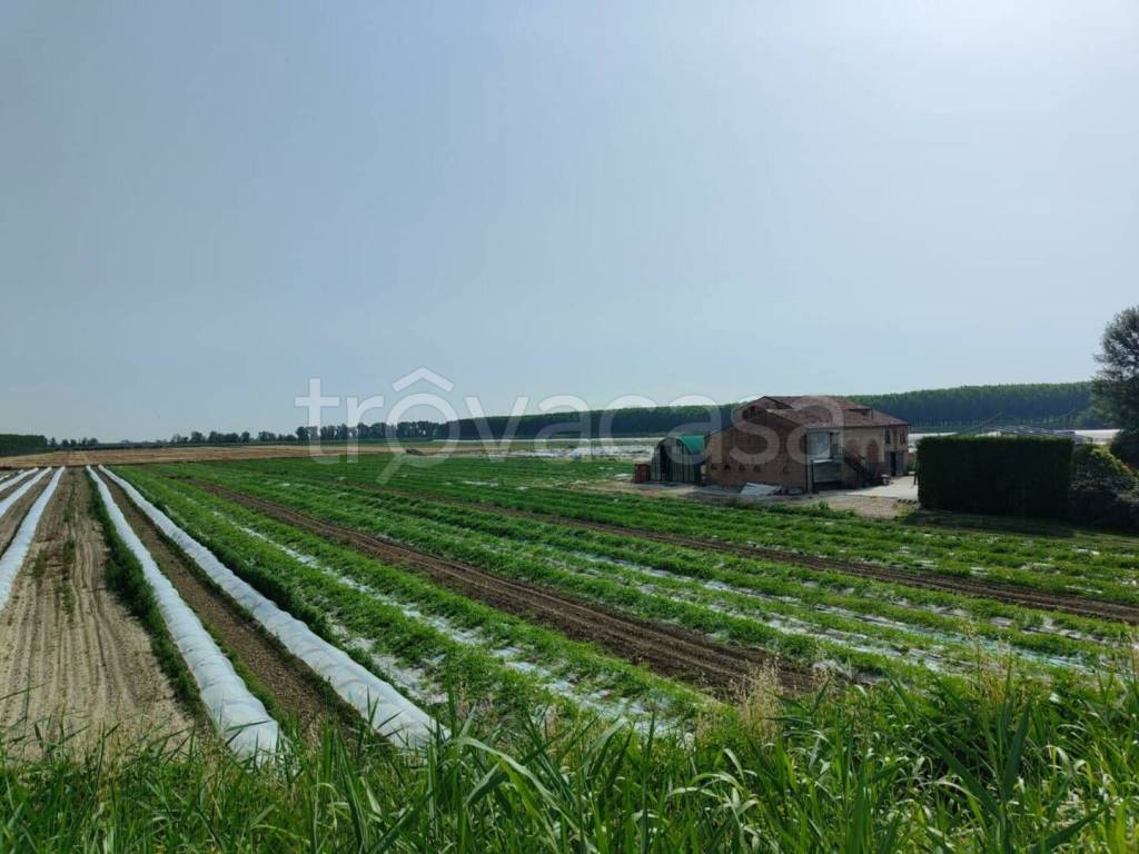 ufficio in vendita a Sermide e Felonica