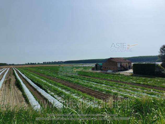 terreno edificabile in vendita a Sermide e Felonica