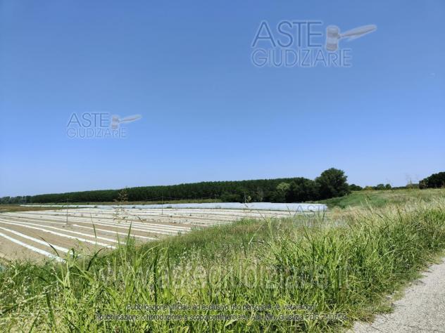 terreno agricolo in vendita a Sermide e Felonica