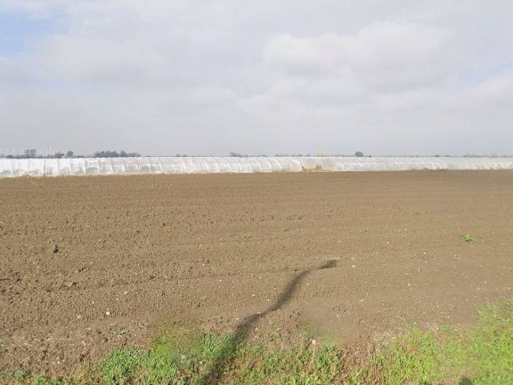 terreno agricolo in vendita a Sermide e Felonica
