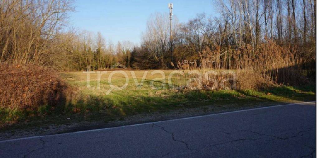 terreno agricolo in vendita a Sermide e Felonica in zona Sermide