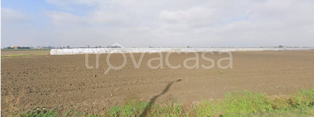 terreno edificabile in vendita a Sermide e Felonica