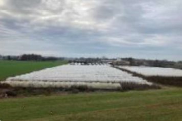 terreno agricolo in vendita a Sermide e Felonica in zona Sermide
