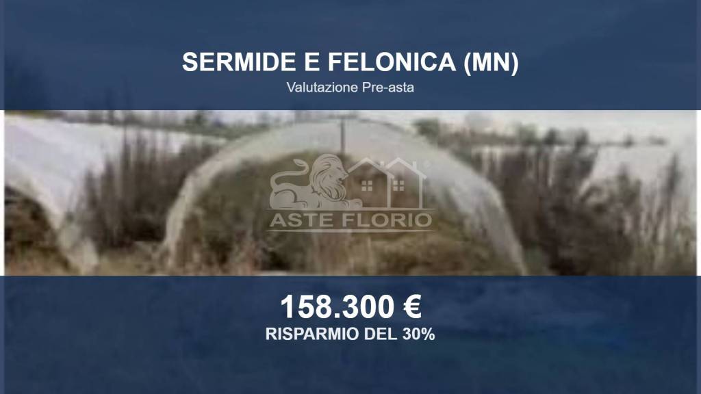 terreno agricolo in vendita a Sermide e Felonica in zona Moglia