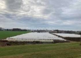 ufficio in vendita a Sermide e Felonica