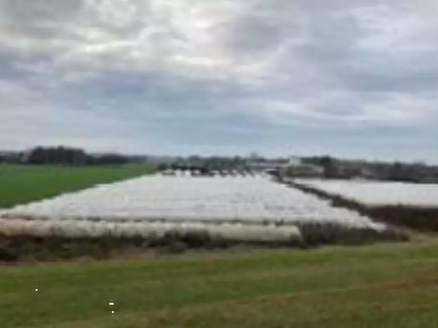 terreno agricolo in vendita a Sermide e Felonica in zona Sermide