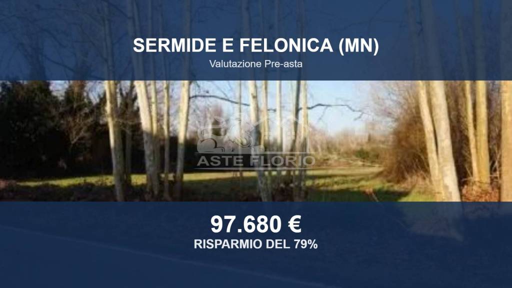 terreno agricolo in vendita a Sermide e Felonica in zona Sermide