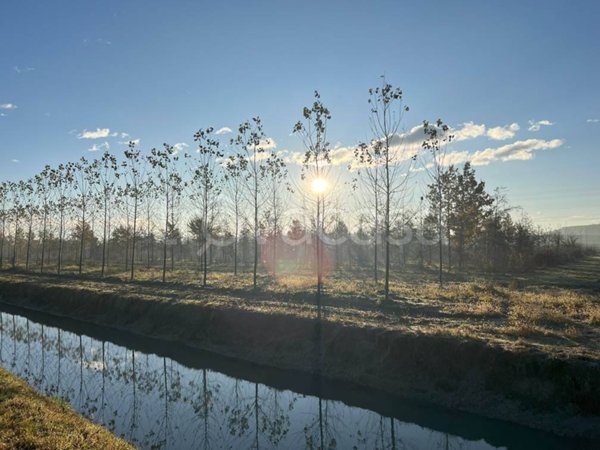 terreno agricolo in vendita a Serravalle a Po