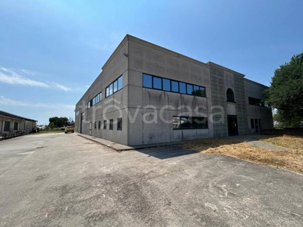 trivano in vendita a Serravalle a Po in zona Libiola