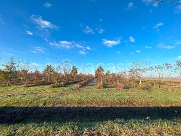 terreno agricolo in vendita a Serravalle a Po