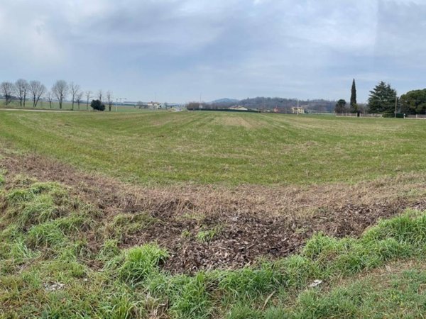 terreno agricolo in vendita a Solferino