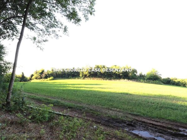 terreno agricolo in vendita a Solferino