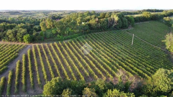 terreno agricolo in vendita a Solferino