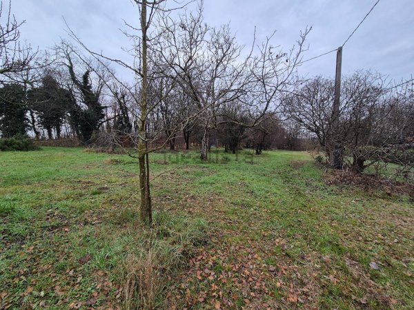 terreno agricolo in vendita a Solferino