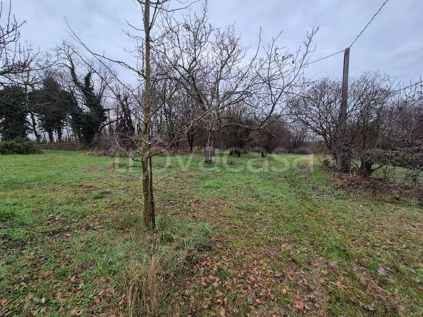 terreno agricolo in vendita a Solferino