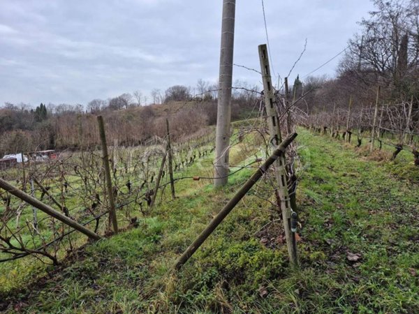 terreno agricolo in vendita a Solferino