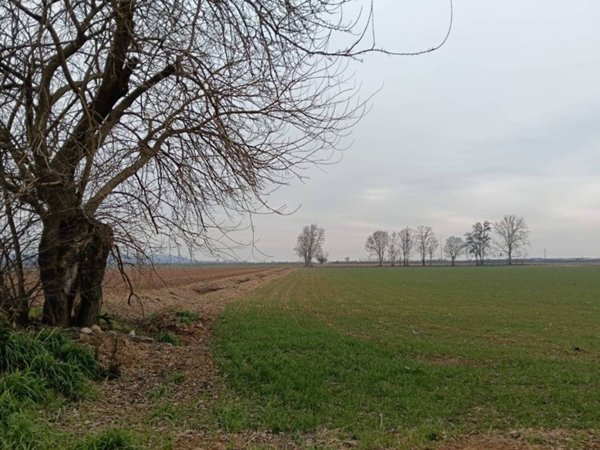 terreno agricolo in vendita a Solferino