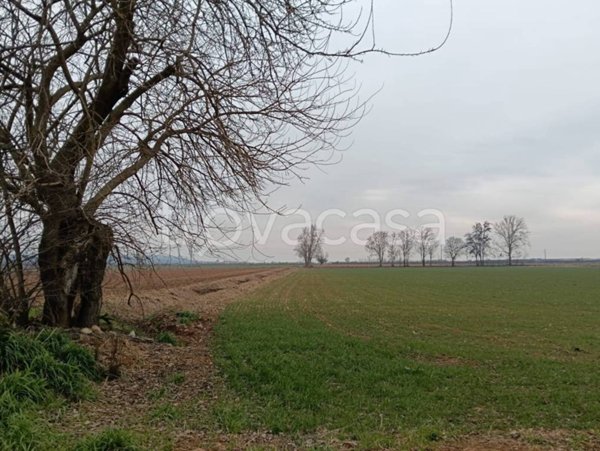 terreno agricolo in vendita a Solferino