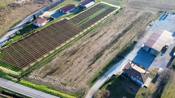 terreno agricolo in vendita a Solferino