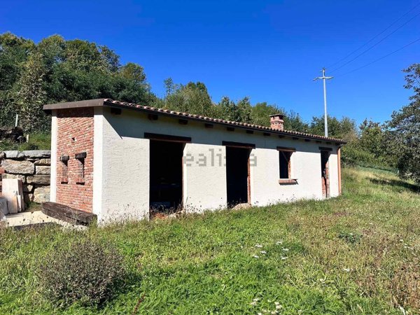 immagine annuncio 0 di 1