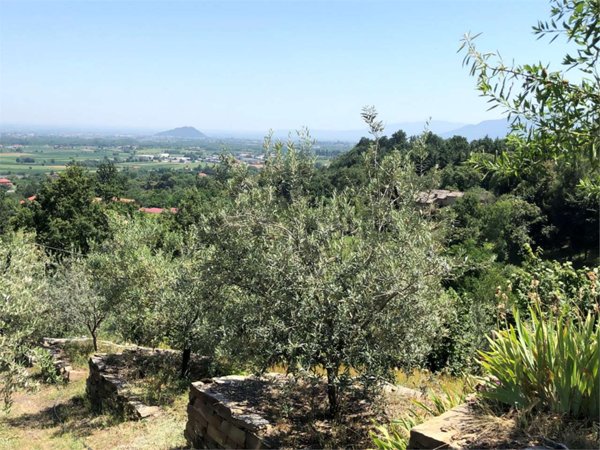 terreno agricolo in vendita a San Secondo di Pinerolo