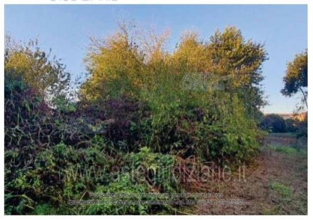 terreno edificabile in vendita a Sustinente in zona Bastia