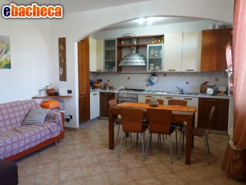 casa indipendente in vendita a Suzzara