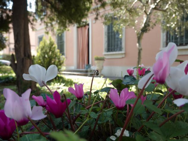casa indipendente in vendita a Suzzara