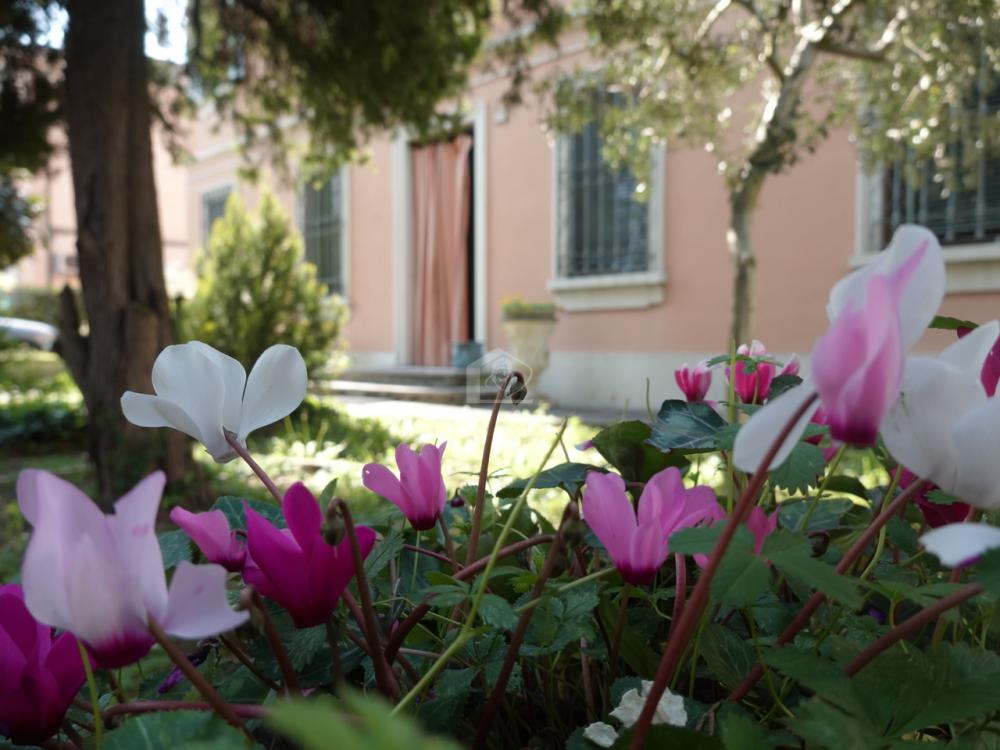 casa indipendente in vendita a Suzzara