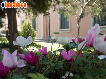casa indipendente in vendita a Suzzara
