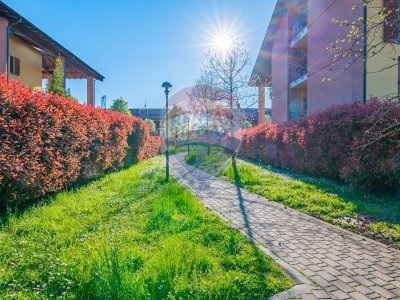 appartamento in vendita a Suzzara