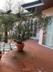 casa indipendente in vendita a Suzzara