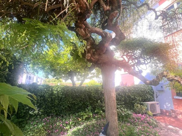 casa indipendente in vendita a Suzzara