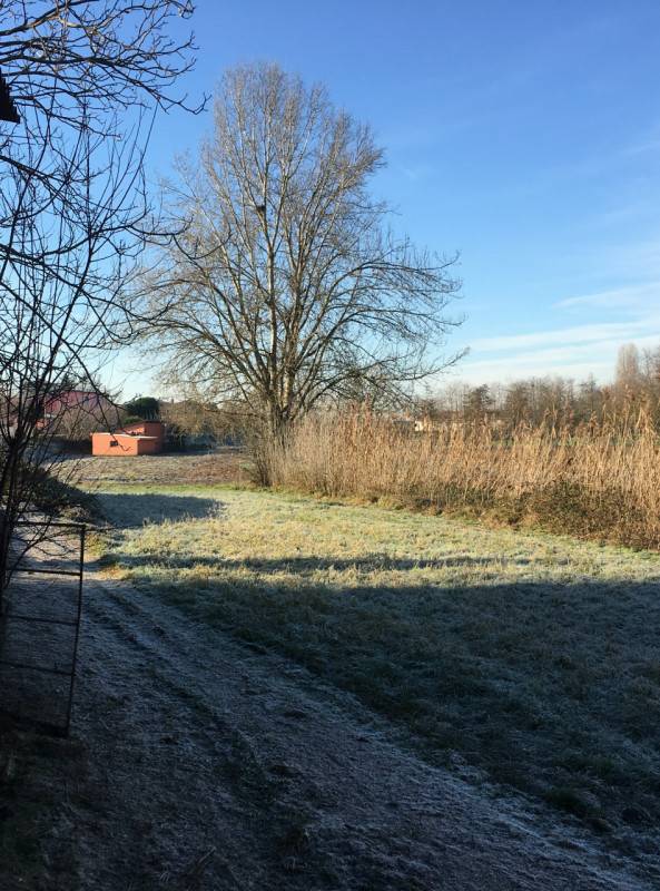 terreno agricolo in vendita a Suzzara
