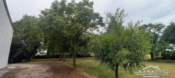 appartamento in vendita a Suzzara