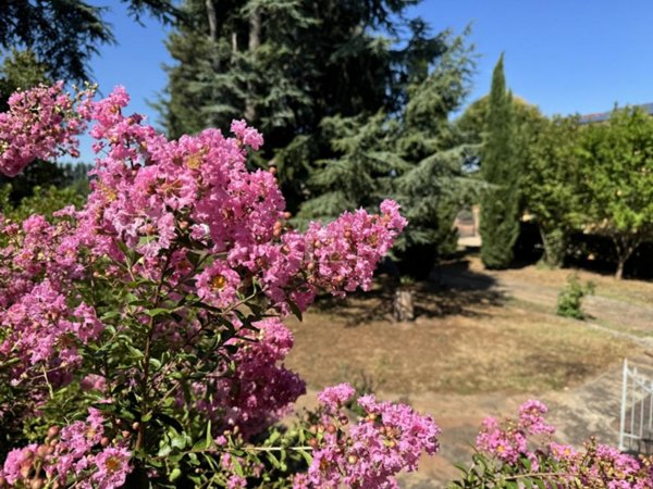 casa indipendente in vendita a Suzzara